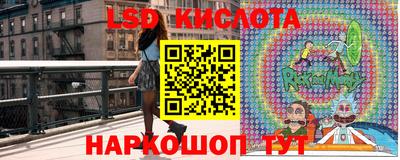 spice Краснознаменск