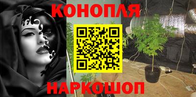 герыч Краснодар