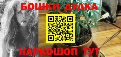 spice Краснознаменск