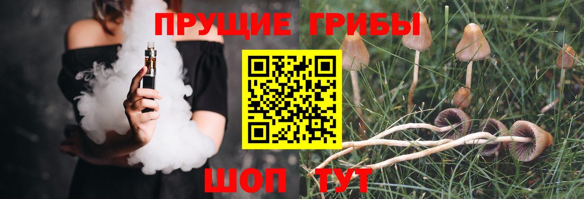 Галлюциногенные грибы MAGIC MUSHROOMS  Вход с VPN  Кировск 